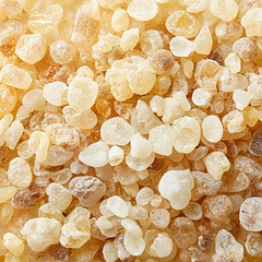 Extrait de Boswellia serrata