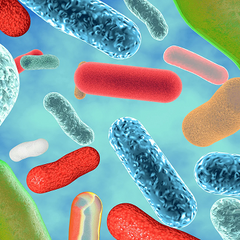 Mélange probiotique exclusif