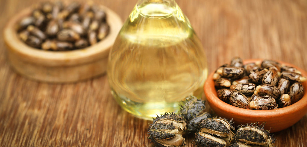 Procédé de production de l'huile de ricin RICÉA™