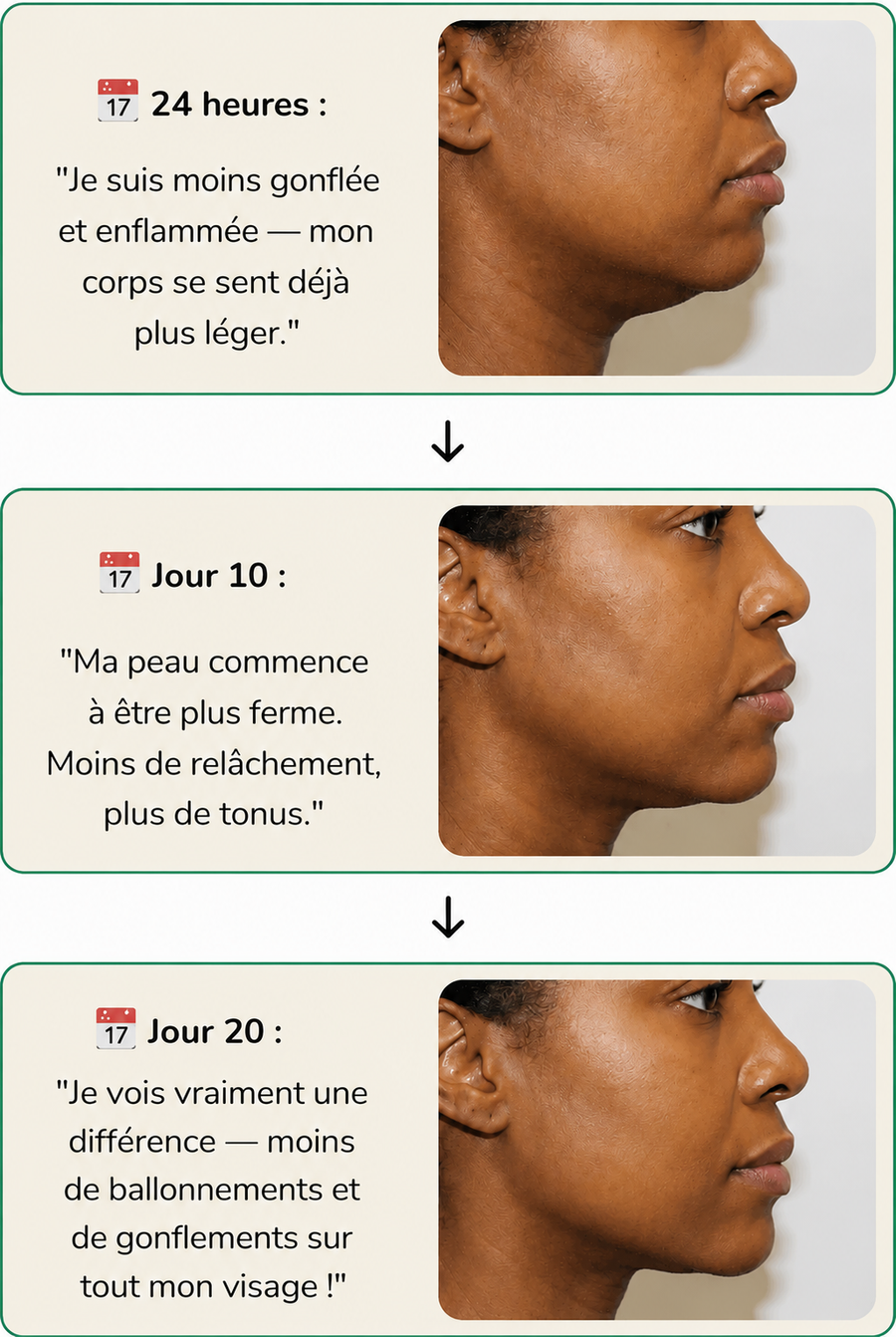 Résultats Rénalys™ au fil des jours