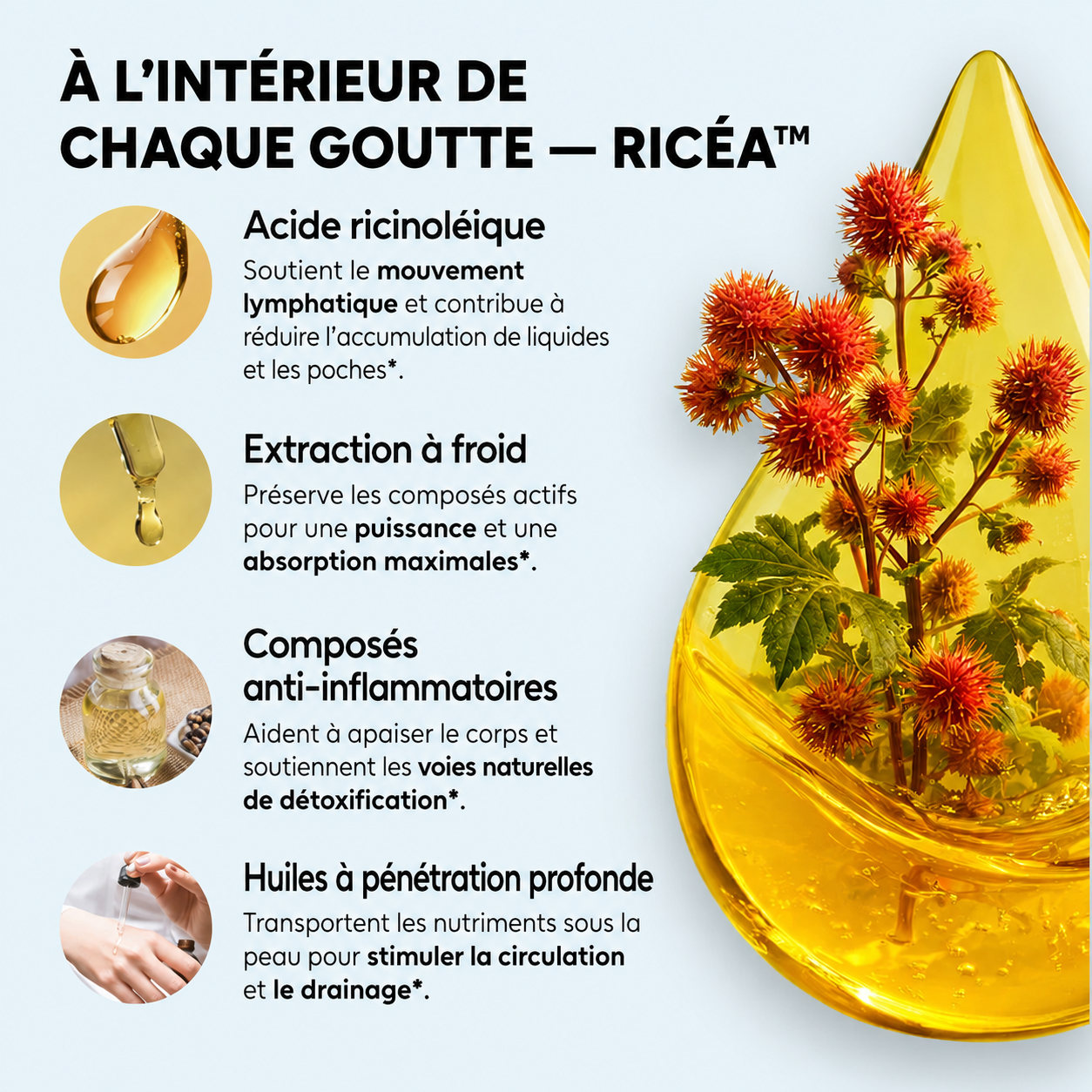 RICÉA ™