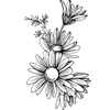 Extrait de camomille allemande
