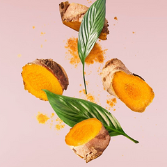 Curcumine à 95 %