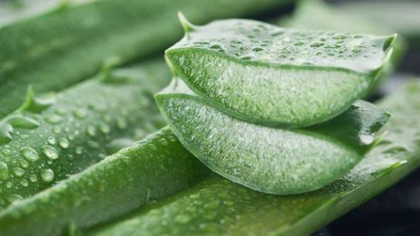 Ingrédients hydratants : coco et aloe vera