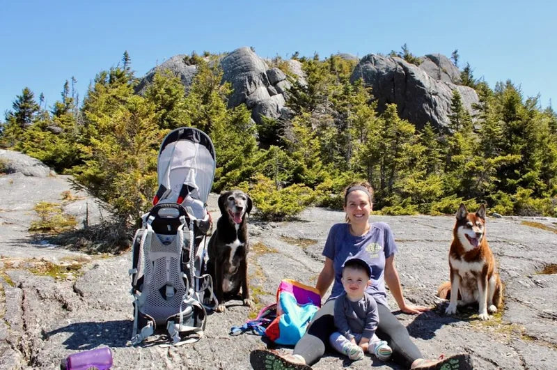 Randonnée avec des chiens