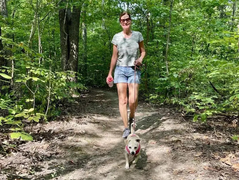 Randonnée avec le chien